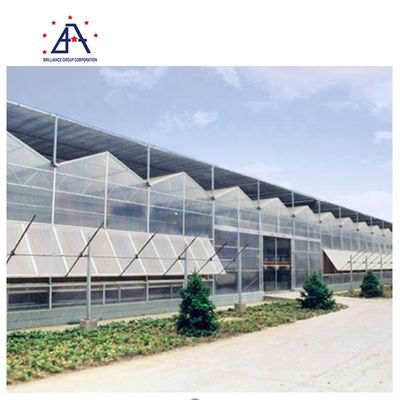 Factory Price Greenhouse Frame Aluminum Profiles In Mill Finish , Powder Coated , Anodized